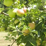 Urlaub Fuer Seele - Erholung Pur In Der - Mit Infrarotkabine & Relax-raum