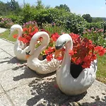 Urlaub Fuer Seele - Erholung Pur In Der - Mit Infrarotkabine & Relax-raum Rucmanci