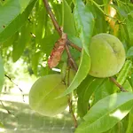 Urlaub Fuer Seele - Erholung Pur In Der - Mit Infrarotkabine & Relax-raum Rucmanci