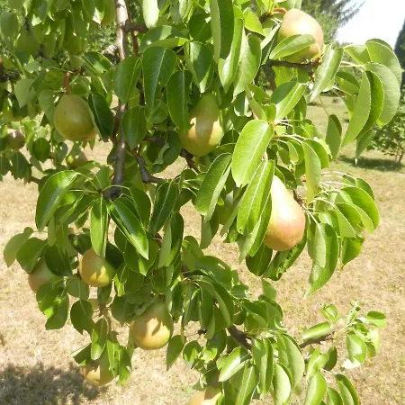 Urlaub Fuer Seele - Erholung Pur In Der - Mit Infrarotkabine & Relax-raum Lejlighed *