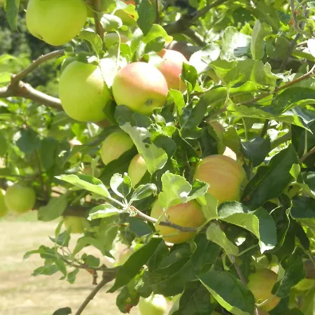 Urlaub Fuer Seele - Erholung Pur In Der - Mit Infrarotkabine & Relax-raum