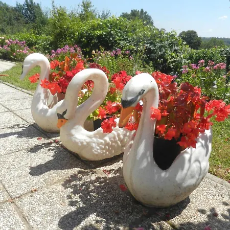 Urlaub Fuer Seele - Erholung Pur In Der - Mit Infrarotkabine & Relax-raum Rucmanci