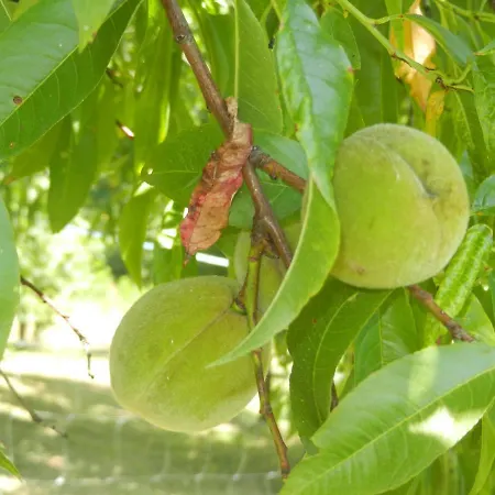 Urlaub Fuer Seele - Erholung Pur In Der - Mit Infrarotkabine & Relax-raum Rucmanci