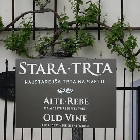 Urlaub Fuer Seele - Erholung Pur In Der - Mit Infrarotkabine & Relax-raum * Rucmanci