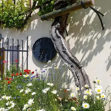 Urlaub Fuer Seele - Erholung Pur In Der - Mit Infrarotkabine & Relax-raum Apartman