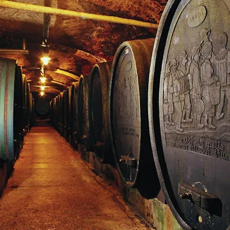 Urlaub Fuer Seele - Erholung Pur In Der - Mit Infrarotkabine & Relax-raum Appartement Rucmanci