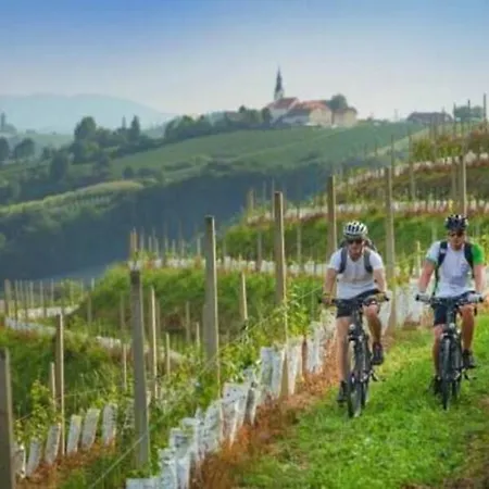 Urlaub Fuer Seele - Erholung Pur In Der - Mit Infrarotkabine & Relax-raum Appartement Rucmanci