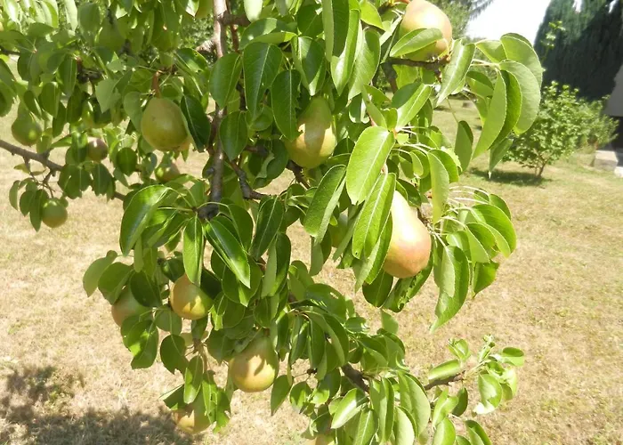 Urlaub Fuer Seele - Erholung Pur In Der - Mit Infrarotkabine & Relax-raum شقة *