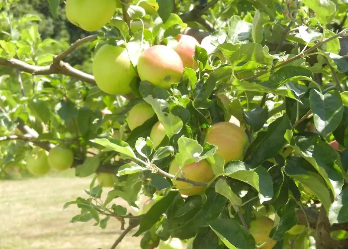 Urlaub Fuer Seele - Erholung Pur In Der - Mit Infrarotkabine & Relax-raum
