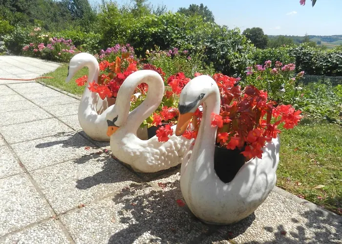 Urlaub Fuer Seele - Erholung Pur In Der - Mit Infrarotkabine & Relax-raum Rucmanci