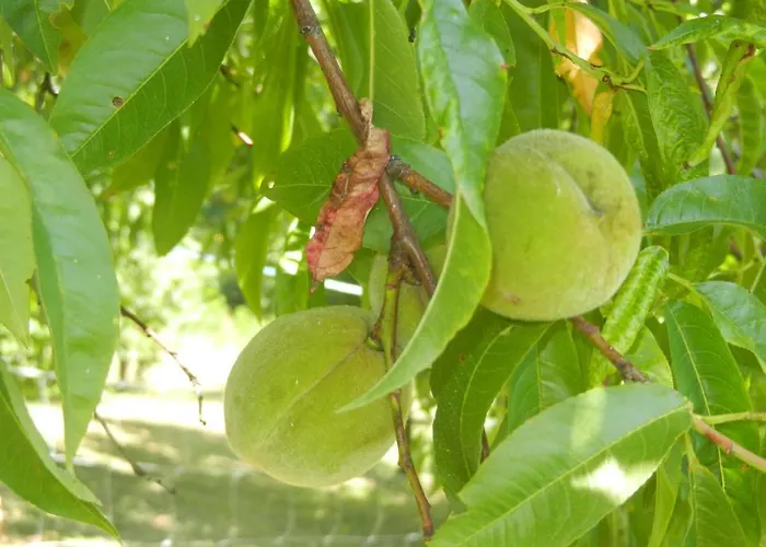 Urlaub Fuer Seele - Erholung Pur In Der - Mit Infrarotkabine & Relax-raum Rucmanci