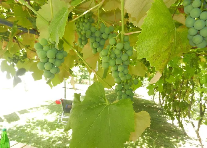 شقة Urlaub Fuer Seele - Erholung Pur In Der - Mit Infrarotkabine & Relax-raum