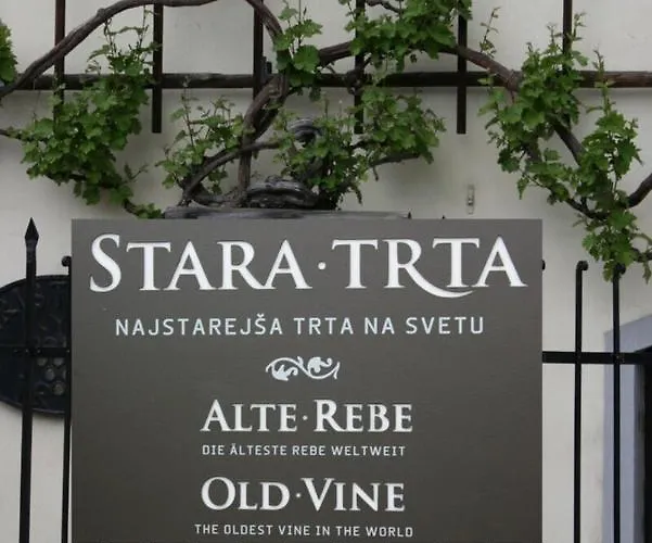 Urlaub Fuer Seele - Erholung Pur In Der - Mit Infrarotkabine & Relax-raum * Rucmanci