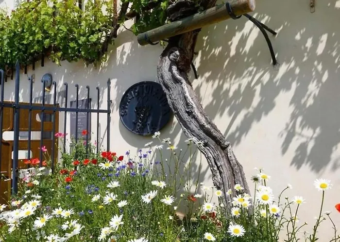 Urlaub Fuer Seele - Erholung Pur In Der - Mit Infrarotkabine & Relax-raum شقة