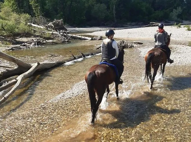 Urlaub Fuer Seele - Erholung Pur In Der - Mit Infrarotkabine & Relax-raum * Rucmanci